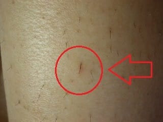 記事番号:129807/アイテムID:4671672の画像