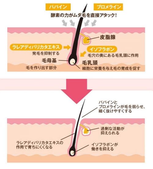 記事番号:129807/アイテムID:4671733の画像
