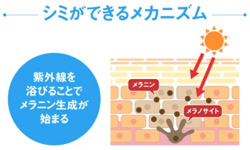 記事番号:131414/アイテムID:4735958の画像